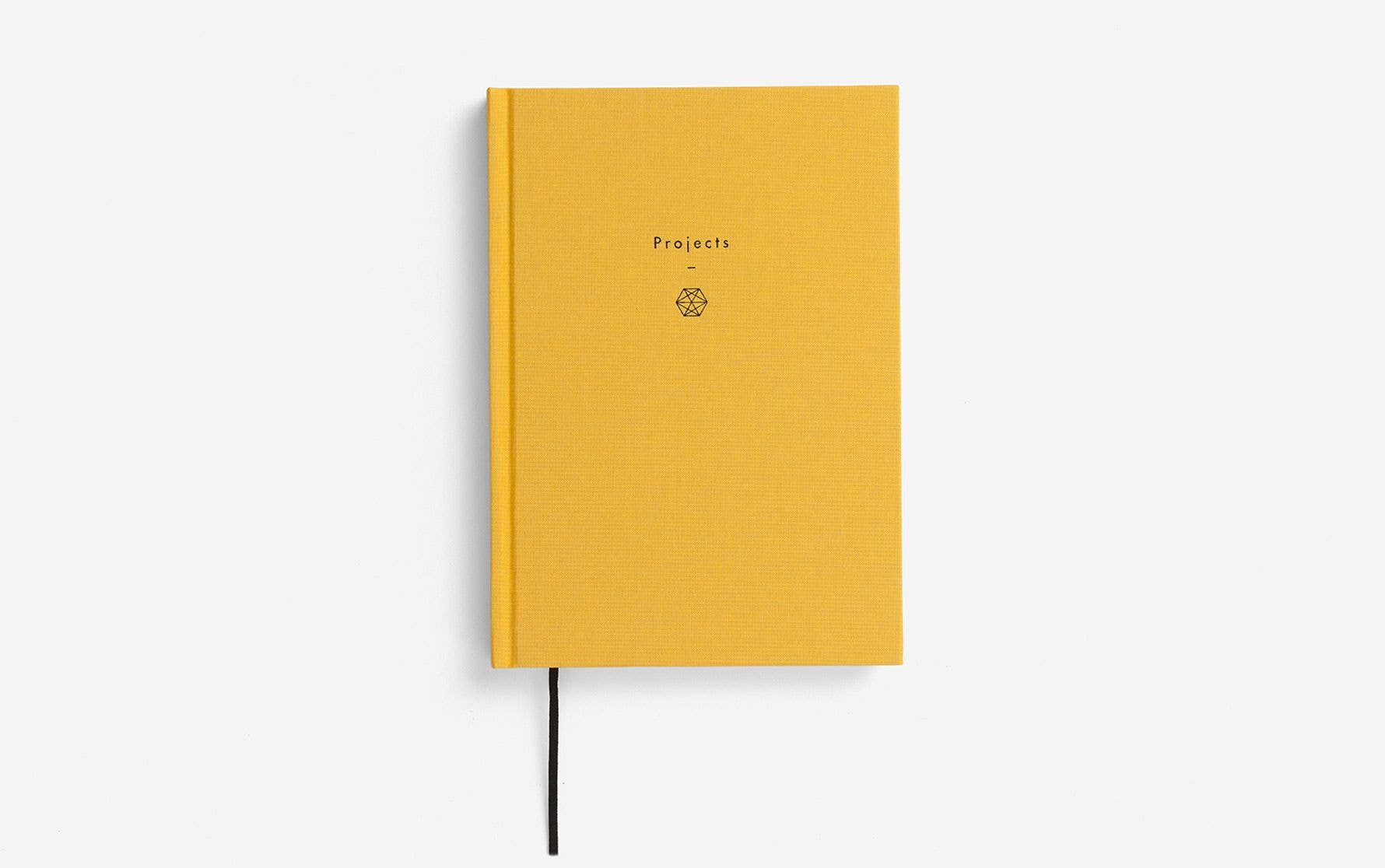 Writing as Therapy Journal, Projects