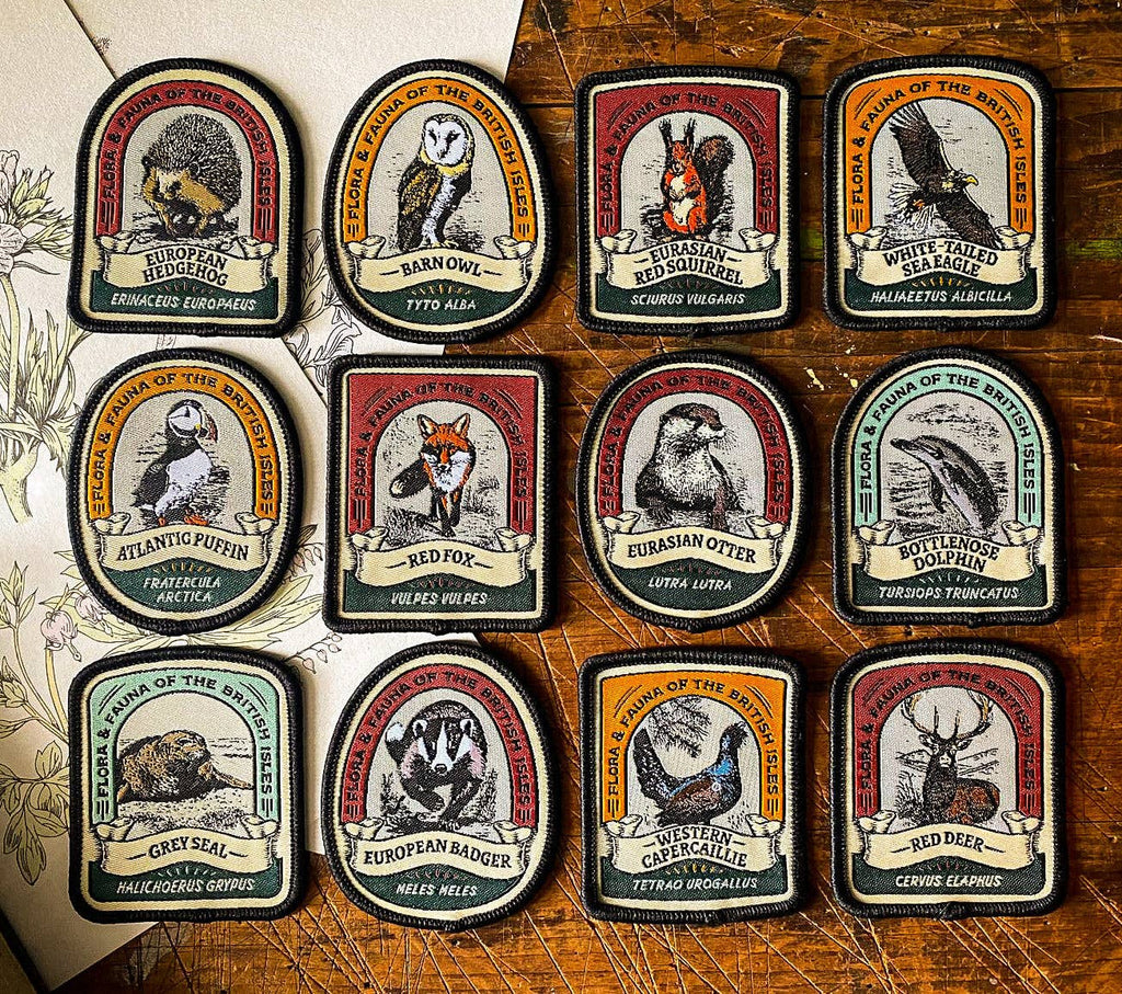 Eurasian Red Squirrel patch