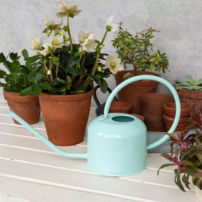 Metal Watering Can - Sky Blue