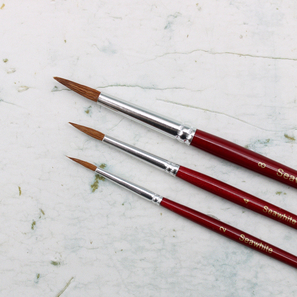 Watercolour Brush Set