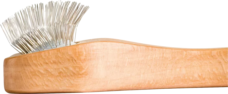 Velcro Brush