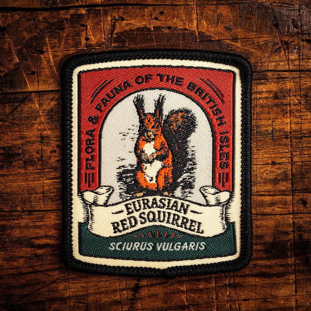 Eurasian Red Squirrel patch
