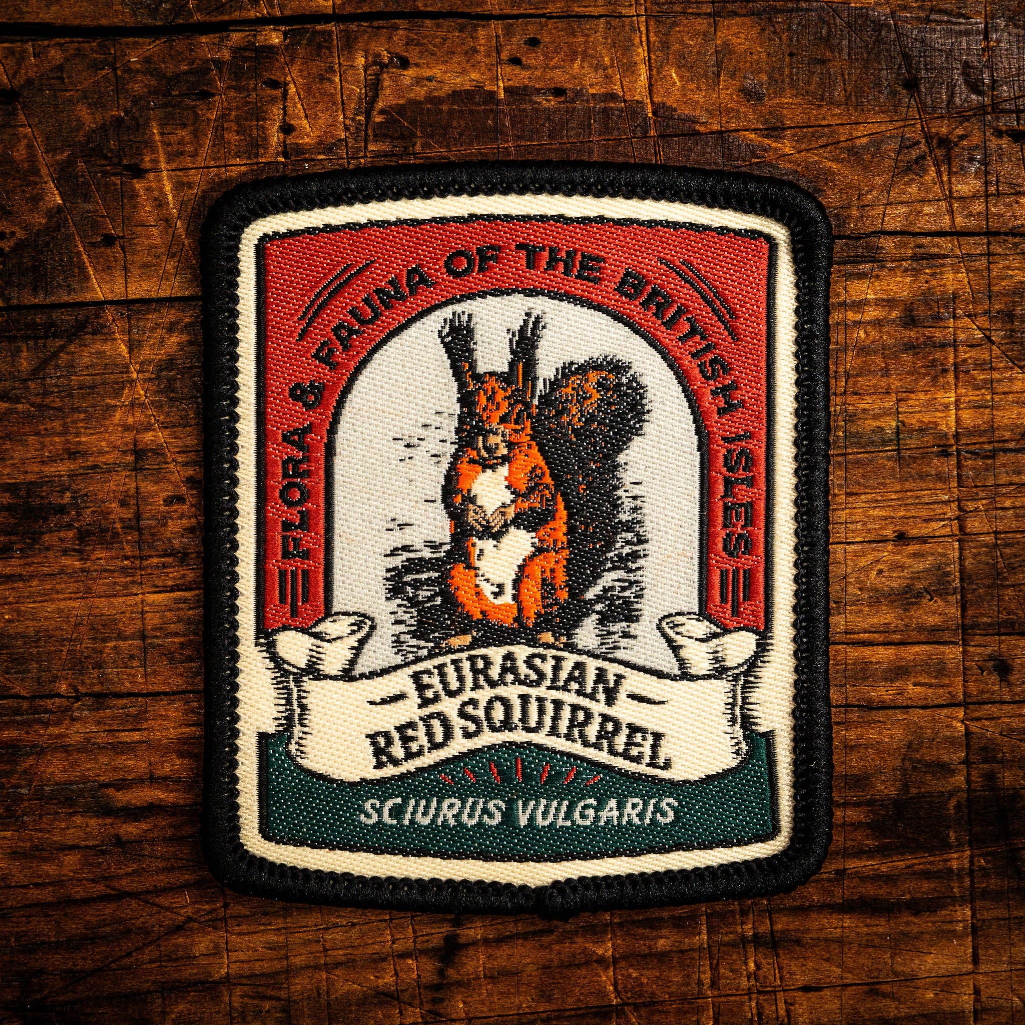 Eurasian Red Squirrel patch