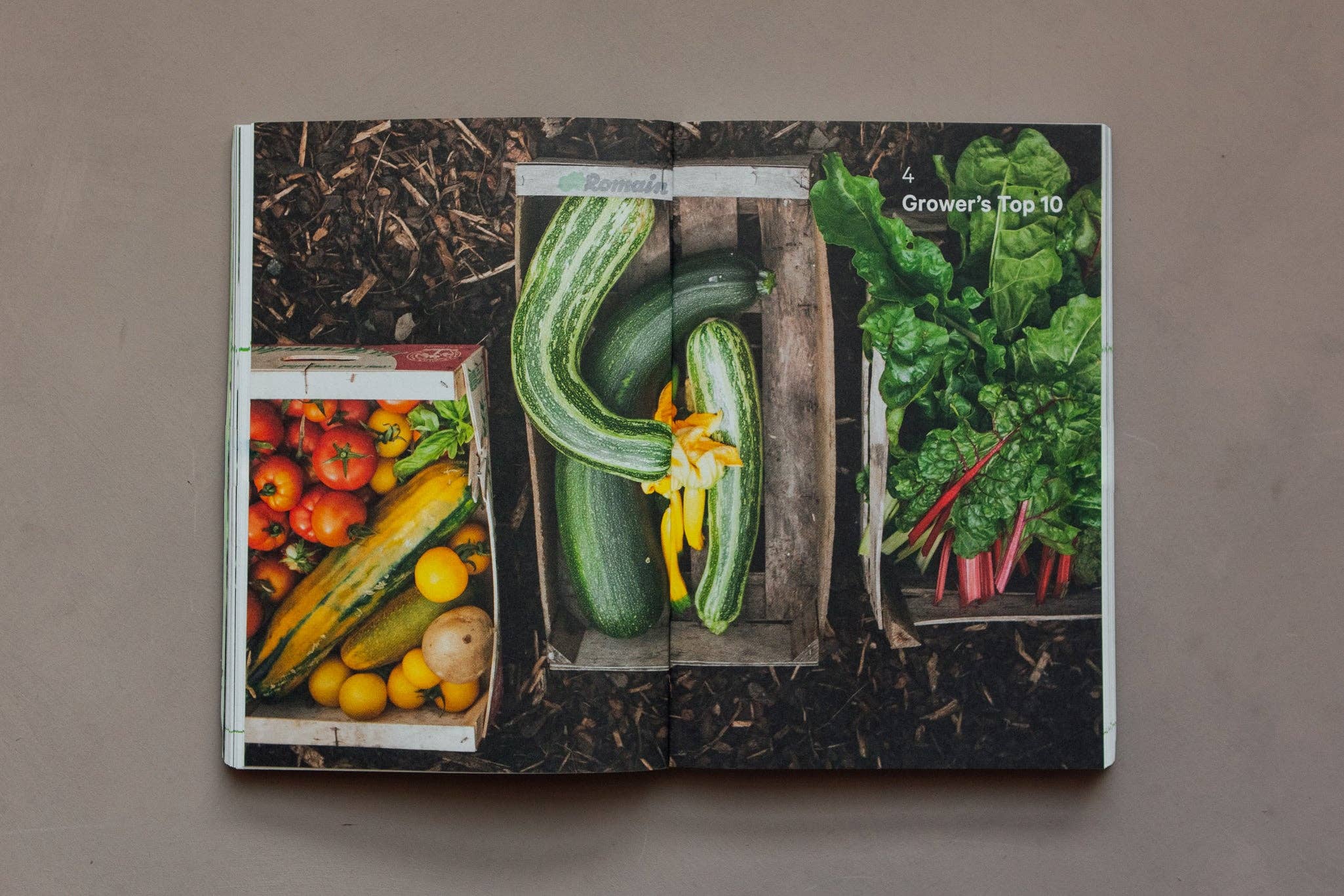 Do Grow, Guide to Growing Vegetables