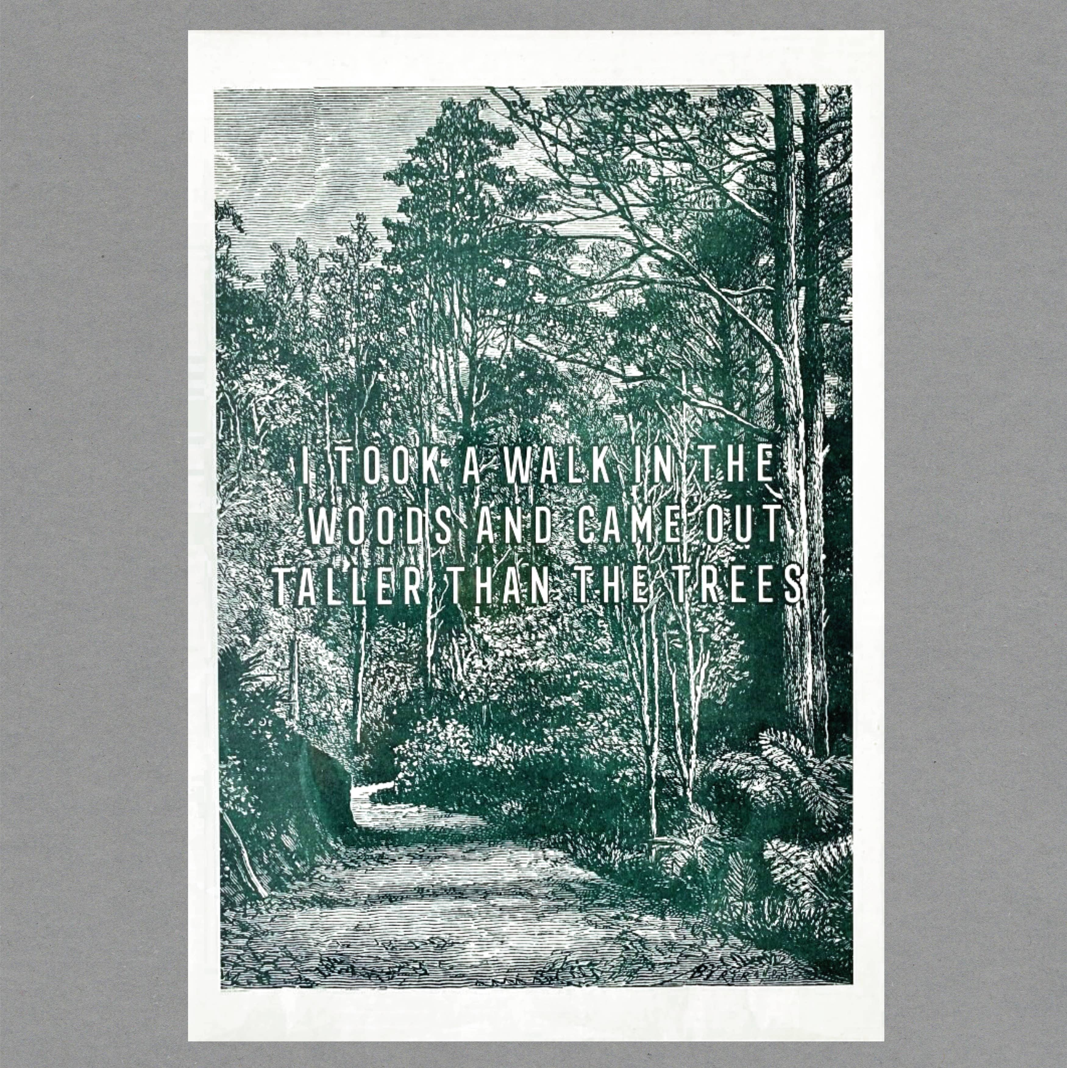 Walk in the Wood Risograph Print