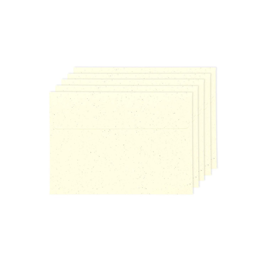 Paper Poetry "Renew" C6 Envelopes - 2 colours