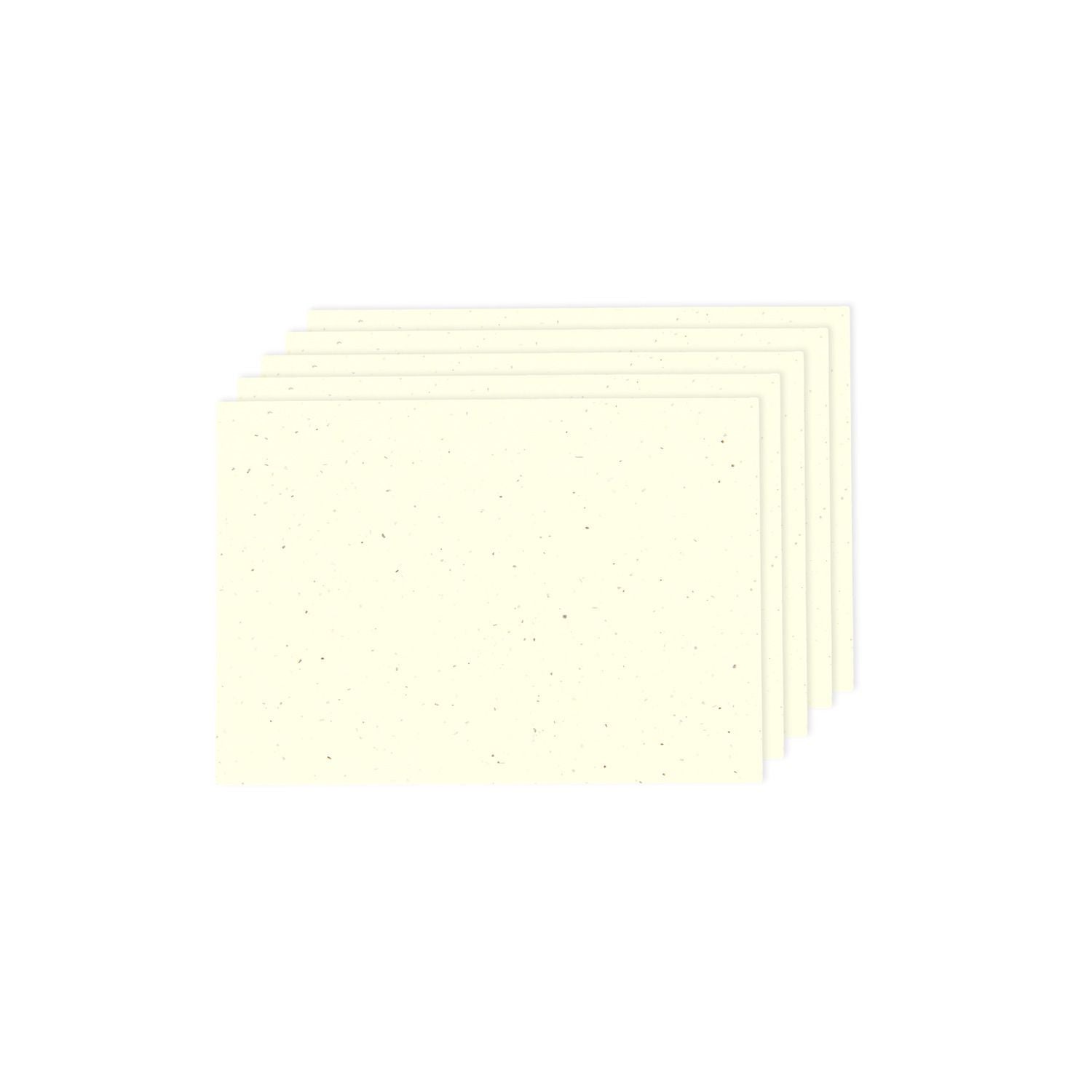 Paper Poetry "Renew" A7 blank card - 2 colours