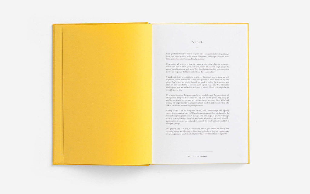 Writing as Therapy Journal, Projects