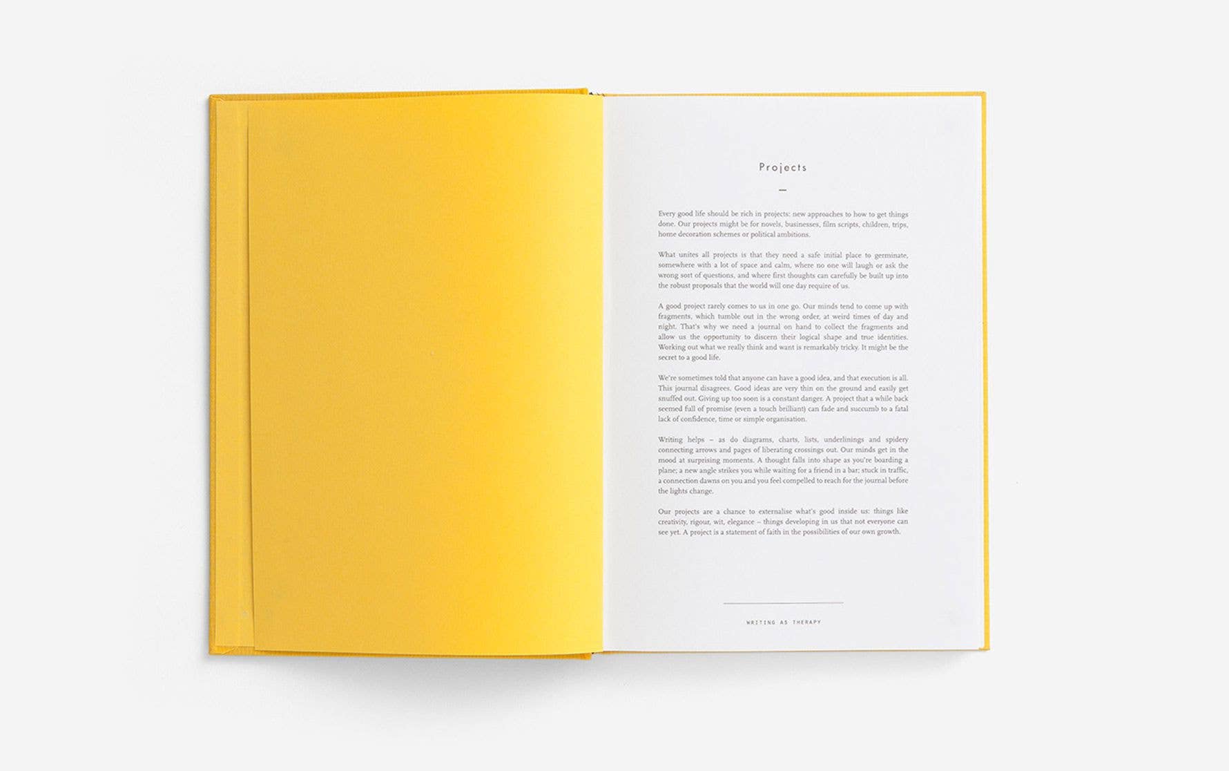 Writing as Therapy Journal, Projects