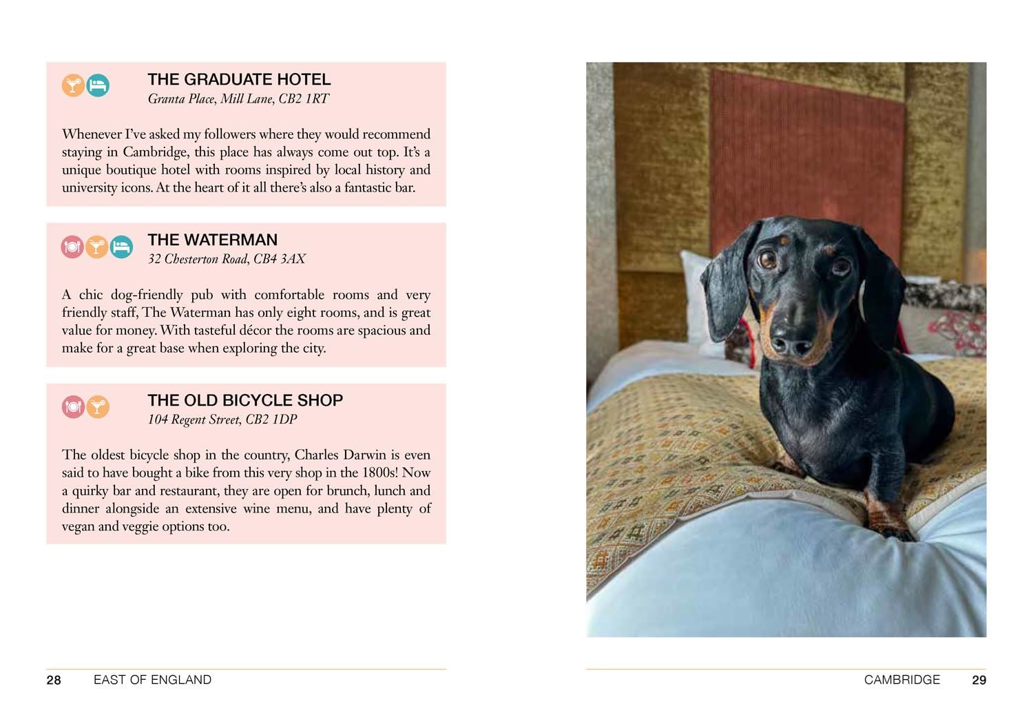 Follow My Lead: UK Walking Adventures for You & Your Dog