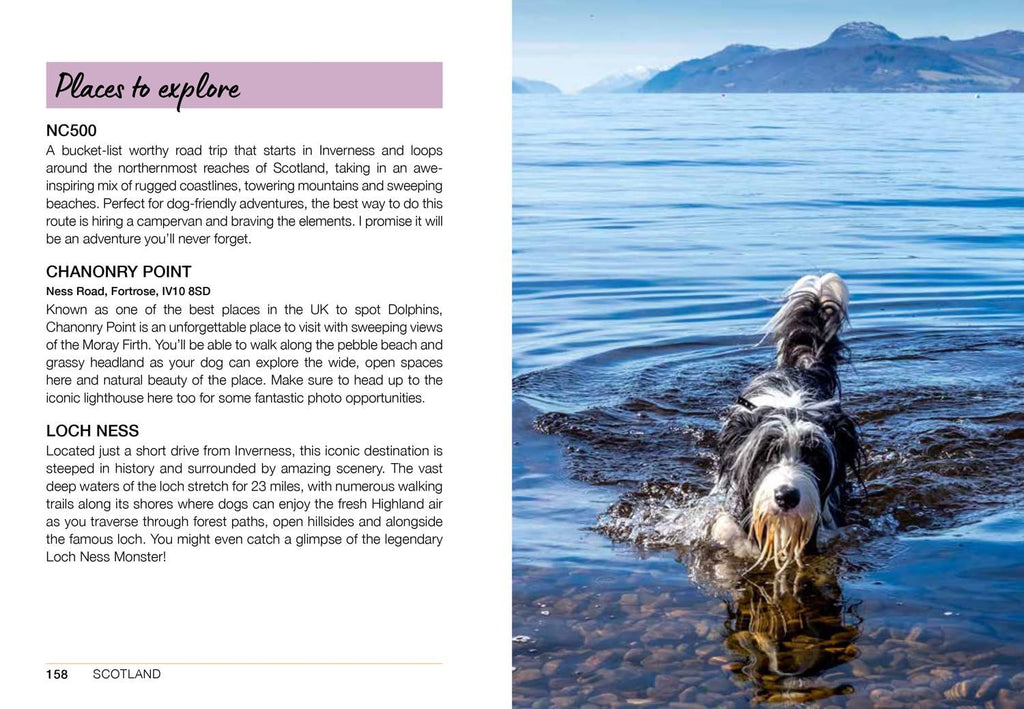 Follow My Lead: UK Walking Adventures for You & Your Dog