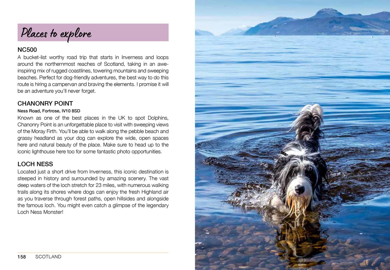 Follow My Lead: UK Walking Adventures for You & Your Dog