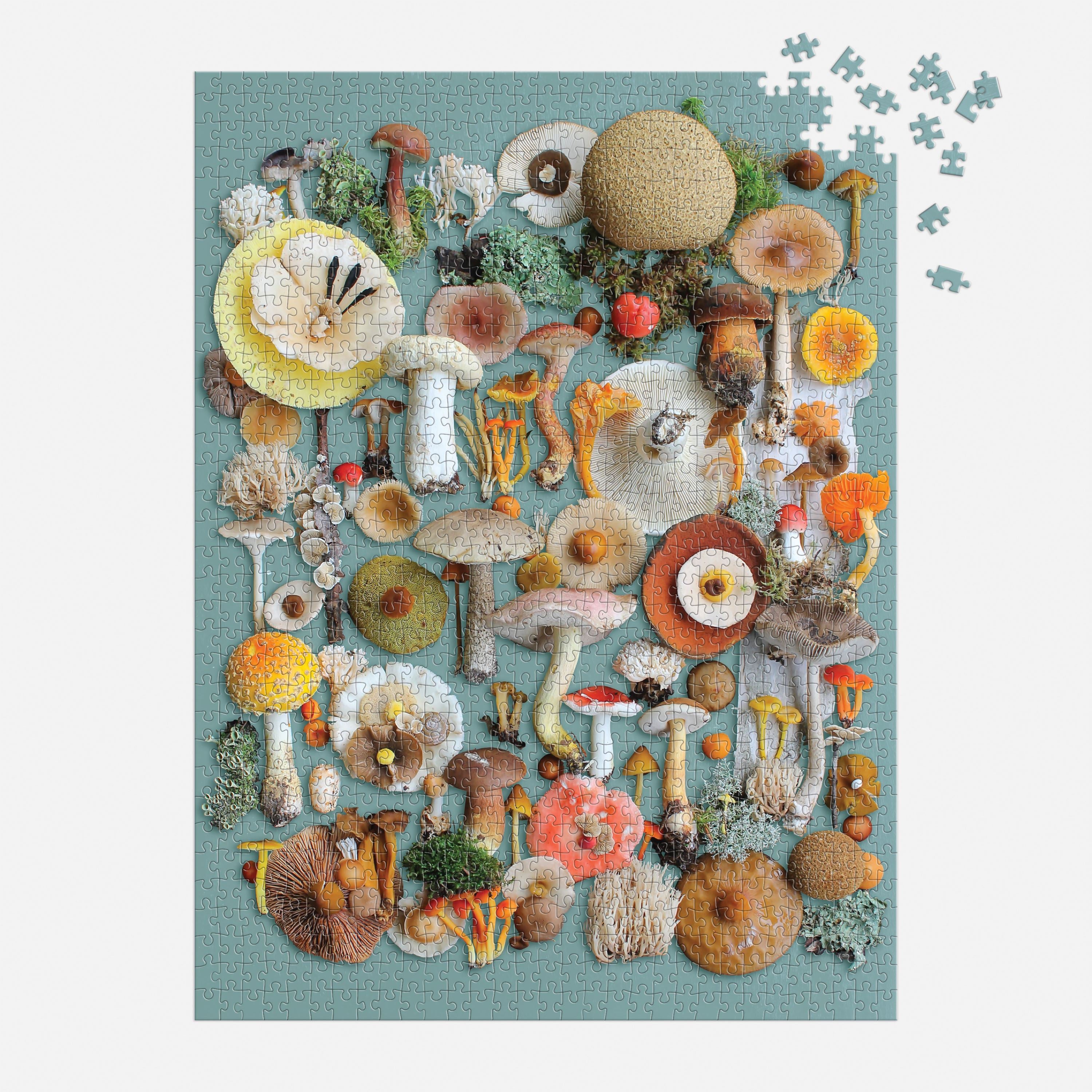Foraged Mushrooms 1000 Piece jigsaw puzzle