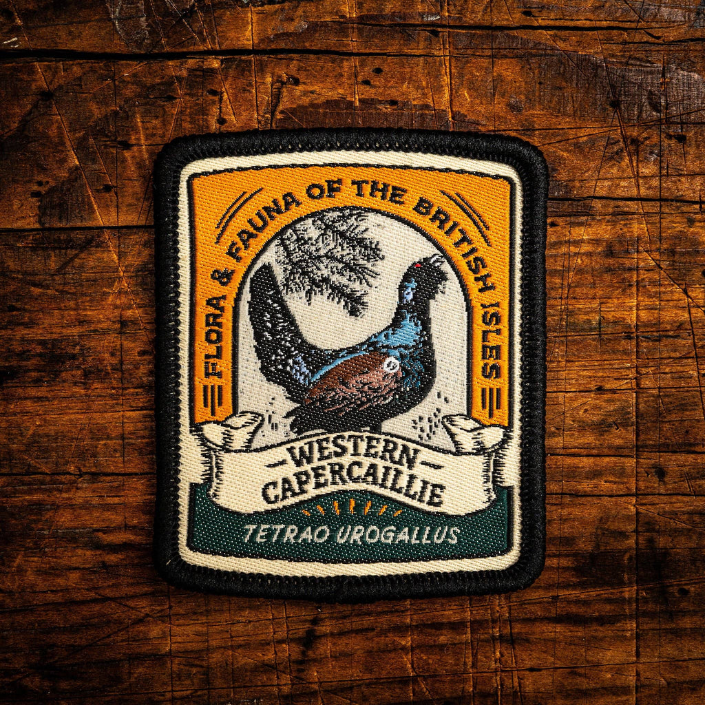 Western Capercaillie patch