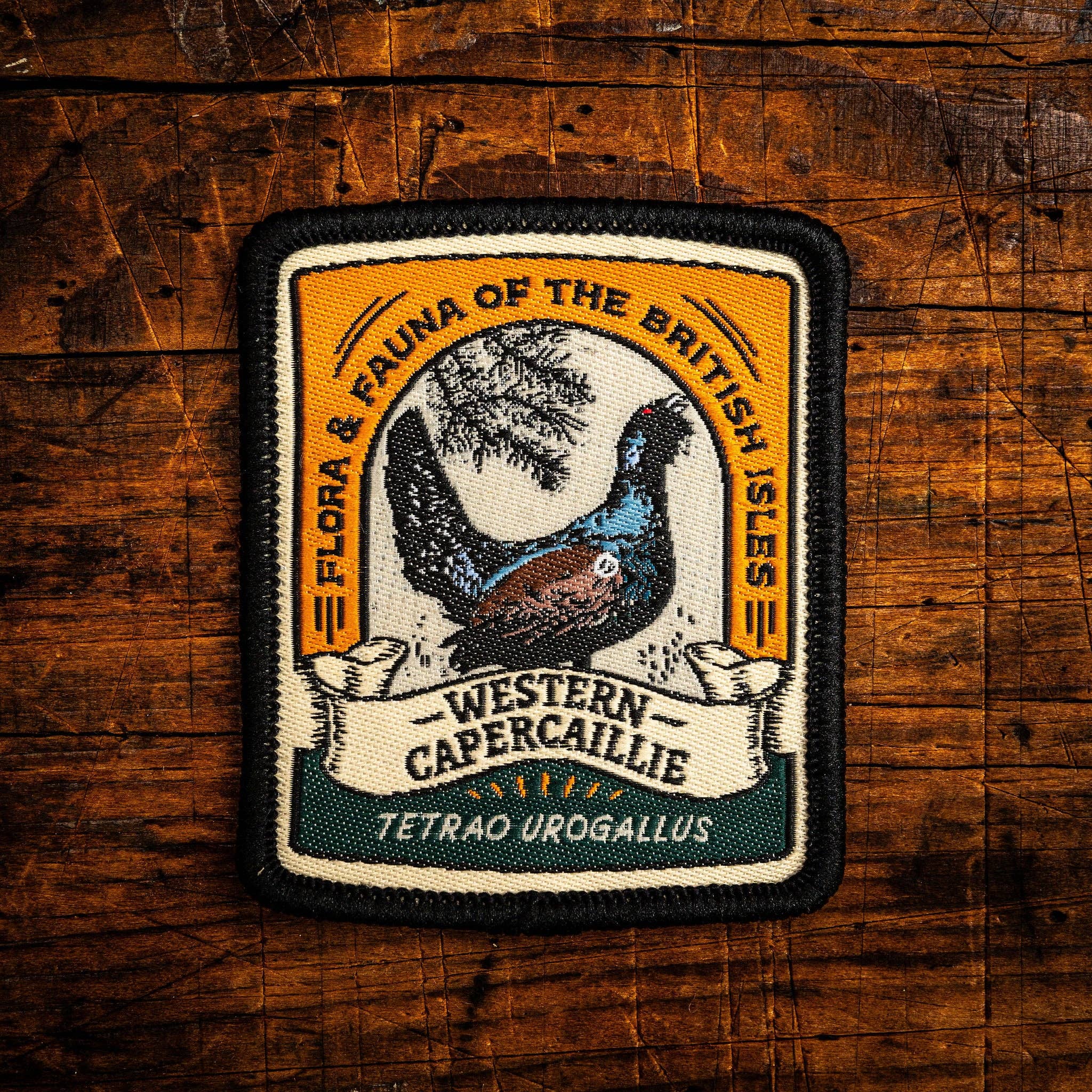 Western Capercaillie patch