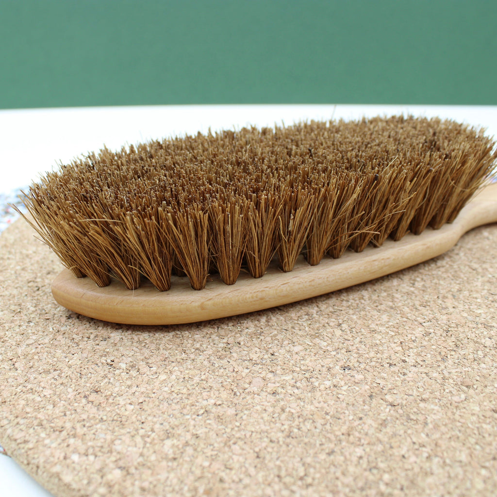 Carpet Brush