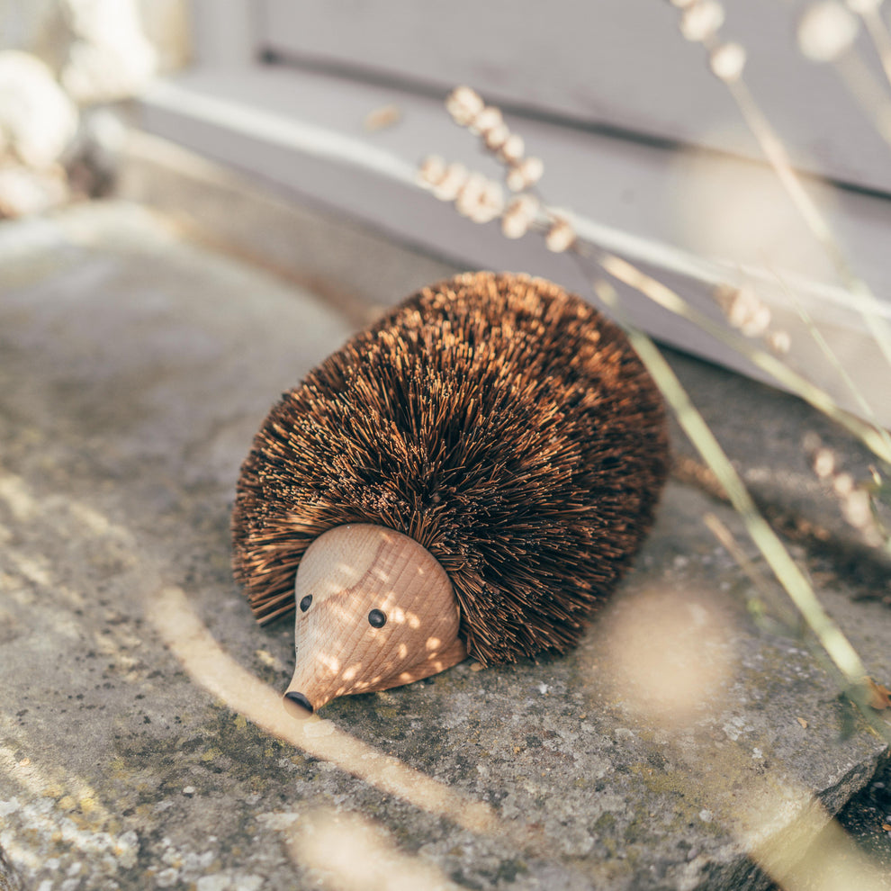 Shoe Cleaning Hedgehog
