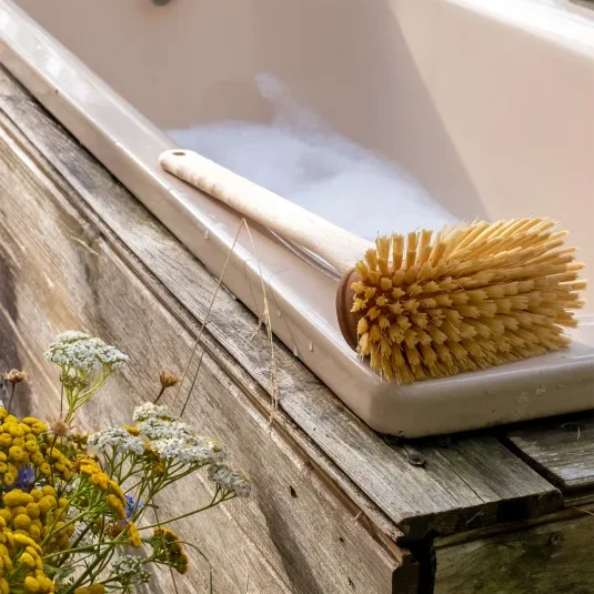 Bathtub Brush