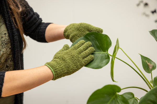 Plant Dust Gloves Green