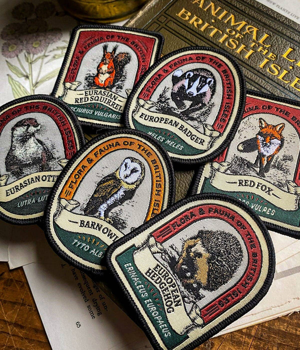 Eurasian Red Squirrel patch